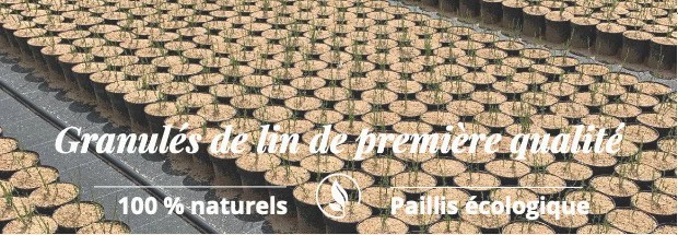 Photo des granules de lin de premiere qualite