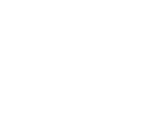 Litières pour animaux mistigreen charte graphique elements 09.png